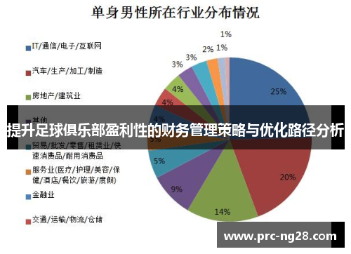 提升足球俱乐部盈利性的财务管理策略与优化路径分析